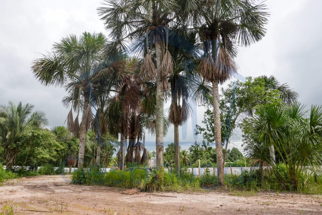 ¡𝐆𝐑𝐀𝐍 𝐎𝐏𝐎𝐑𝐓𝐔𝐍𝐈𝐃𝐀𝐃!!! 𝐓𝐄𝐑𝐑𝐄𝐍𝐎 𝐃𝐄 𝟐𝟔𝟓𝟎 𝐌𝟐 𝐂𝐎𝐍 𝐏𝐈𝐒𝐂𝐈𝐆𝐑𝐀𝐍𝐉𝐀, 𝐀 𝟑 𝐂𝐃𝐑𝐀. 𝐃𝐄 𝐋𝐀 𝐂.𝐅.𝐁. 𝐄𝐍 𝐕𝐄𝐍𝐓𝐀 – 𝐏𝐔𝐂𝐀𝐋𝐋𝐏𝐀 — foto 5