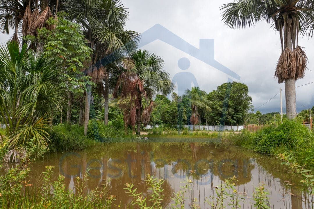 ¡𝐆𝐑𝐀𝐍 𝐎𝐏𝐎𝐑𝐓𝐔𝐍𝐈𝐃𝐀𝐃!!! 𝐓𝐄𝐑𝐑𝐄𝐍𝐎 𝐃𝐄 𝟐𝟔𝟓𝟎 𝐌𝟐 𝐂𝐎𝐍 𝐏𝐈𝐒𝐂𝐈𝐆𝐑𝐀𝐍𝐉𝐀, 𝐀 𝟑 𝐂𝐃𝐑𝐀. 𝐃𝐄 𝐋𝐀 𝐂.𝐅.𝐁. 𝐄𝐍 𝐕𝐄𝐍𝐓𝐀 – 𝐏𝐔𝐂𝐀𝐋𝐋𝐏𝐀