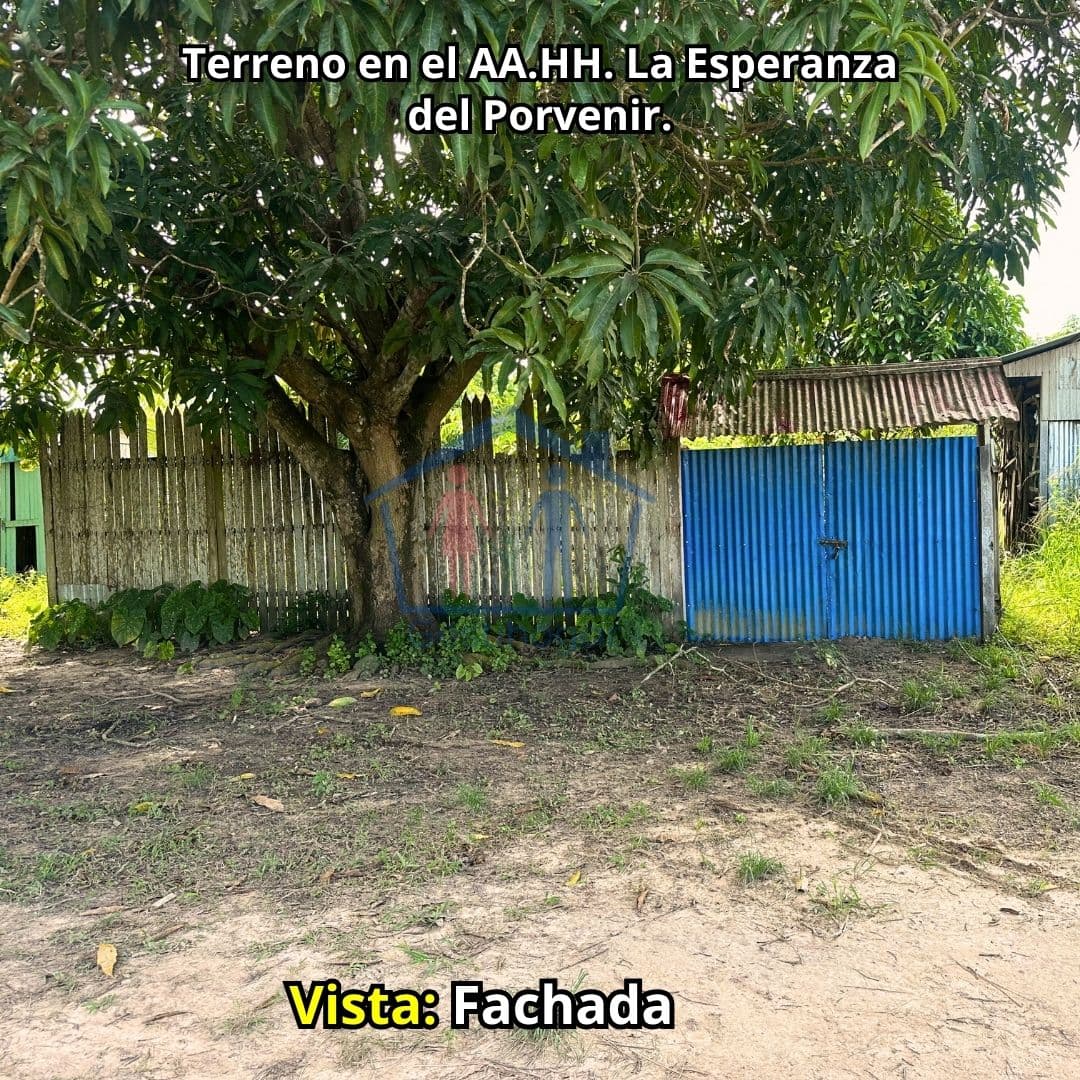 Terreno de 290 m2 en La Esperanza del Porvenir Km13