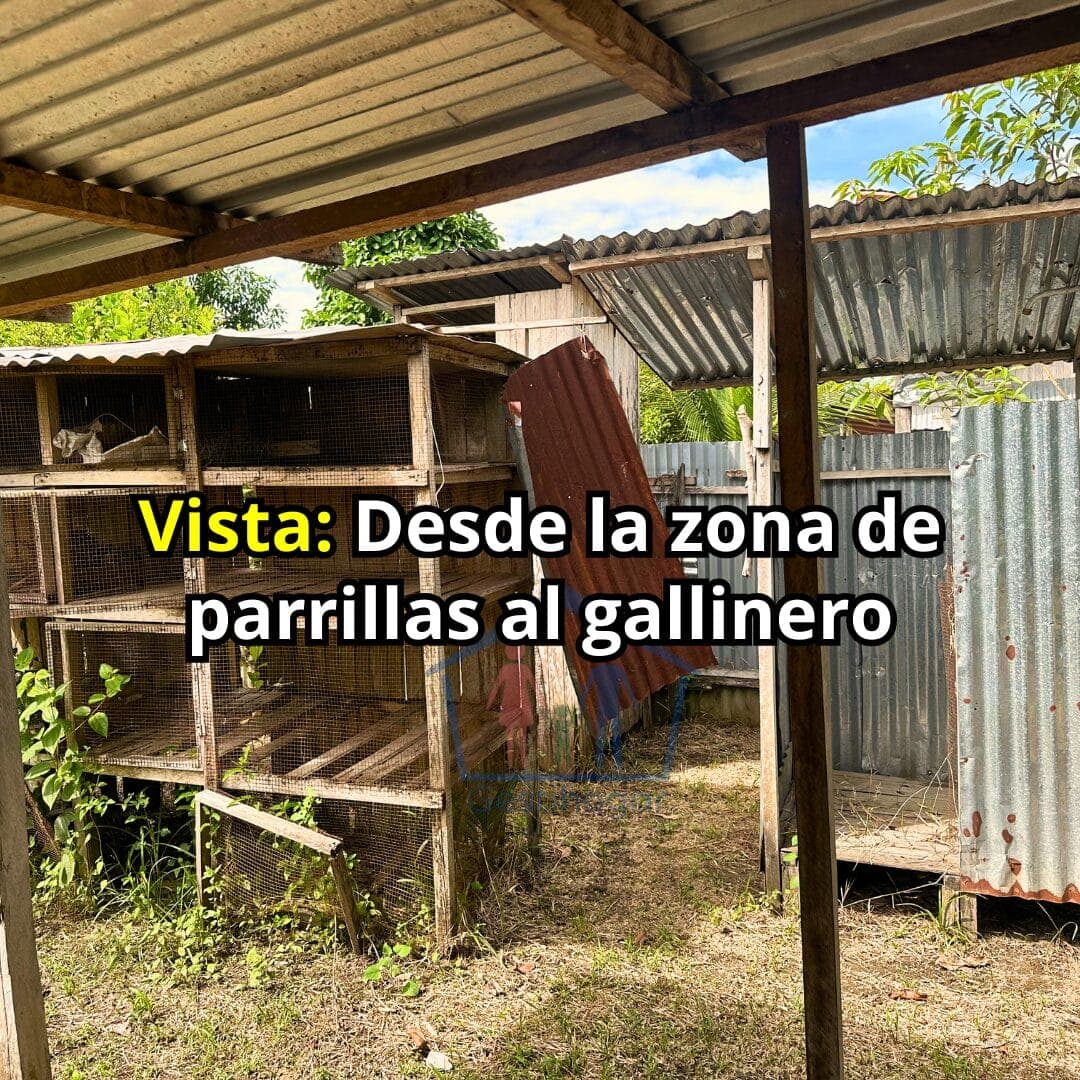 Terreno de 290 m² en La Esperanza del Porvenir Km13- Pucallpa — foto 6