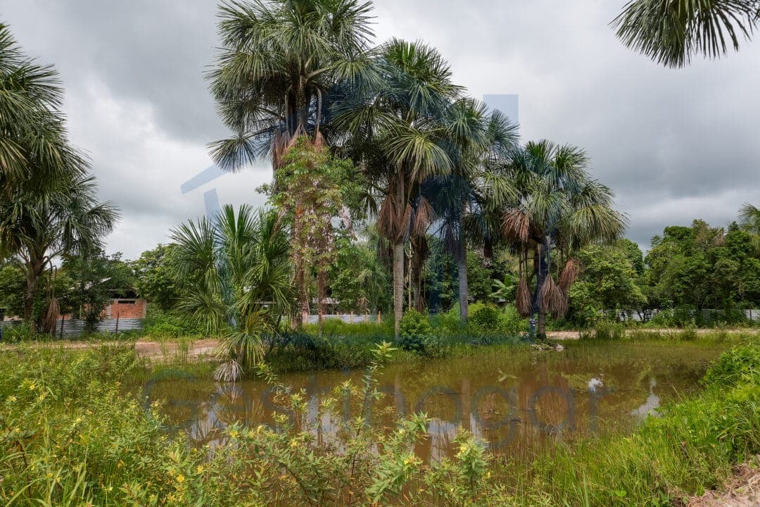 ¡𝐆𝐑𝐀𝐍 𝐎𝐏𝐎𝐑𝐓𝐔𝐍𝐈𝐃𝐀𝐃!!! 𝐓𝐄𝐑𝐑𝐄𝐍𝐎 𝐃𝐄 𝟐𝟔𝟓𝟎 𝐌𝟐 𝐂𝐎𝐍 𝐏𝐈𝐒𝐂𝐈𝐆𝐑𝐀𝐍𝐉𝐀, 𝐀 𝟑 𝐂𝐃𝐑𝐀. 𝐃𝐄 𝐋𝐀 𝐂.𝐅.𝐁. 𝐄𝐍 𝐕𝐄𝐍𝐓𝐀 – 𝐏𝐔𝐂𝐀𝐋𝐋𝐏𝐀 — foto 8