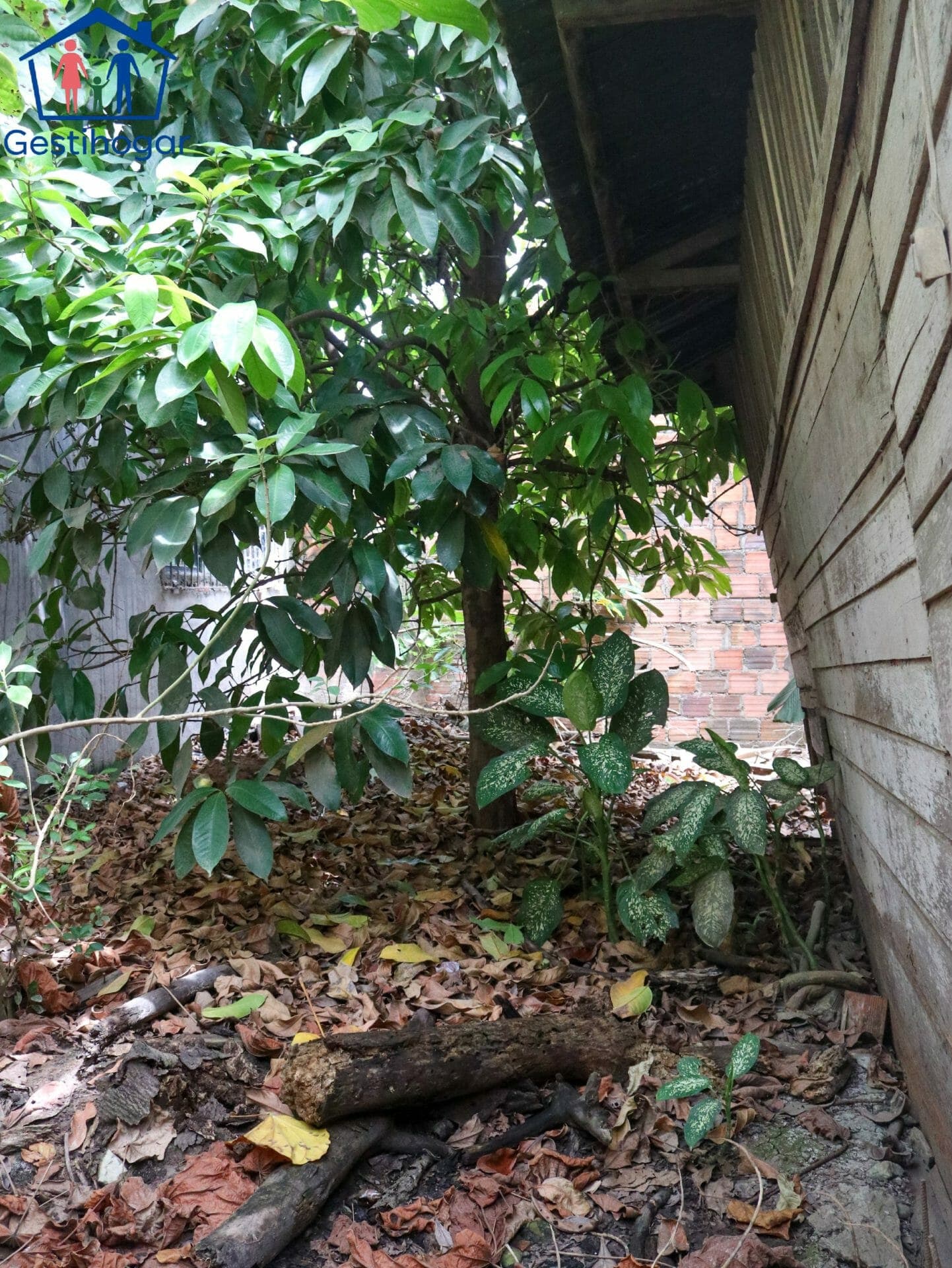 SE VENDE CASA EN PUCALLPA (345 M2) — foto 14