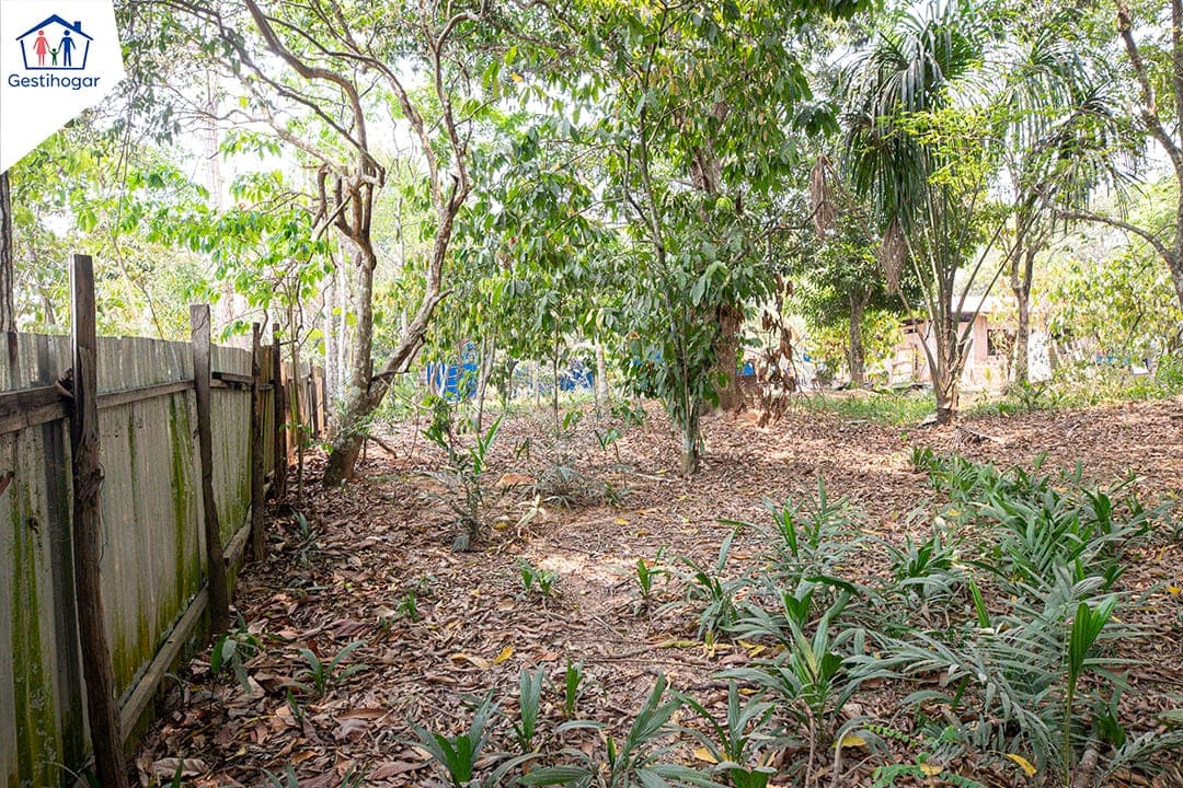 𝐒𝐄 𝐕𝐄𝐍𝐃𝐄 𝐓𝐄𝐑𝐑𝐄𝐍𝐎 𝐃𝐄 𝟏𝟎𝟎𝟎𝐌𝟐, 𝐈𝐃𝐄𝐀𝐋 𝐏𝐀𝐑𝐀 𝐕𝐈𝐕𝐈𝐄𝐍𝐃𝐀 𝐎 𝐀𝐋𝐌𝐀𝐂𝐄𝐍 — foto 6