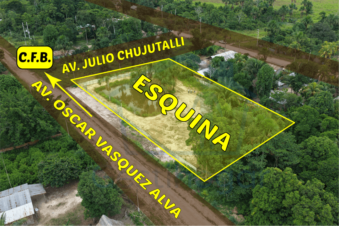 ¡𝐆𝐑𝐀𝐍 𝐎𝐏𝐎𝐑𝐓𝐔𝐍𝐈𝐃𝐀𝐃!!! 𝐓𝐄𝐑𝐑𝐄𝐍𝐎 𝐃𝐄 𝟐𝟔𝟓𝟎 𝐌𝟐 𝐂𝐎𝐍 𝐏𝐈𝐒𝐂𝐈𝐆𝐑𝐀𝐍𝐉𝐀, 𝐀 𝟑 𝐂𝐃𝐑𝐀. 𝐃𝐄 𝐋𝐀 𝐂.𝐅.𝐁. 𝐄𝐍 𝐕𝐄𝐍𝐓𝐀 – 𝐏𝐔𝐂𝐀𝐋𝐋𝐏𝐀 — foto 11