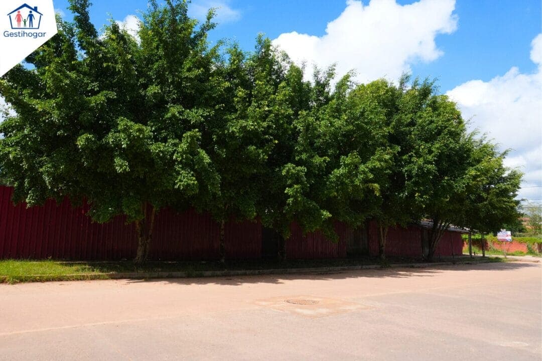 📢𝐒𝐄 𝐕𝐄𝐍𝐃𝐄 𝐓𝐄𝐑𝐑𝐄𝐍𝐎❗ — foto 5