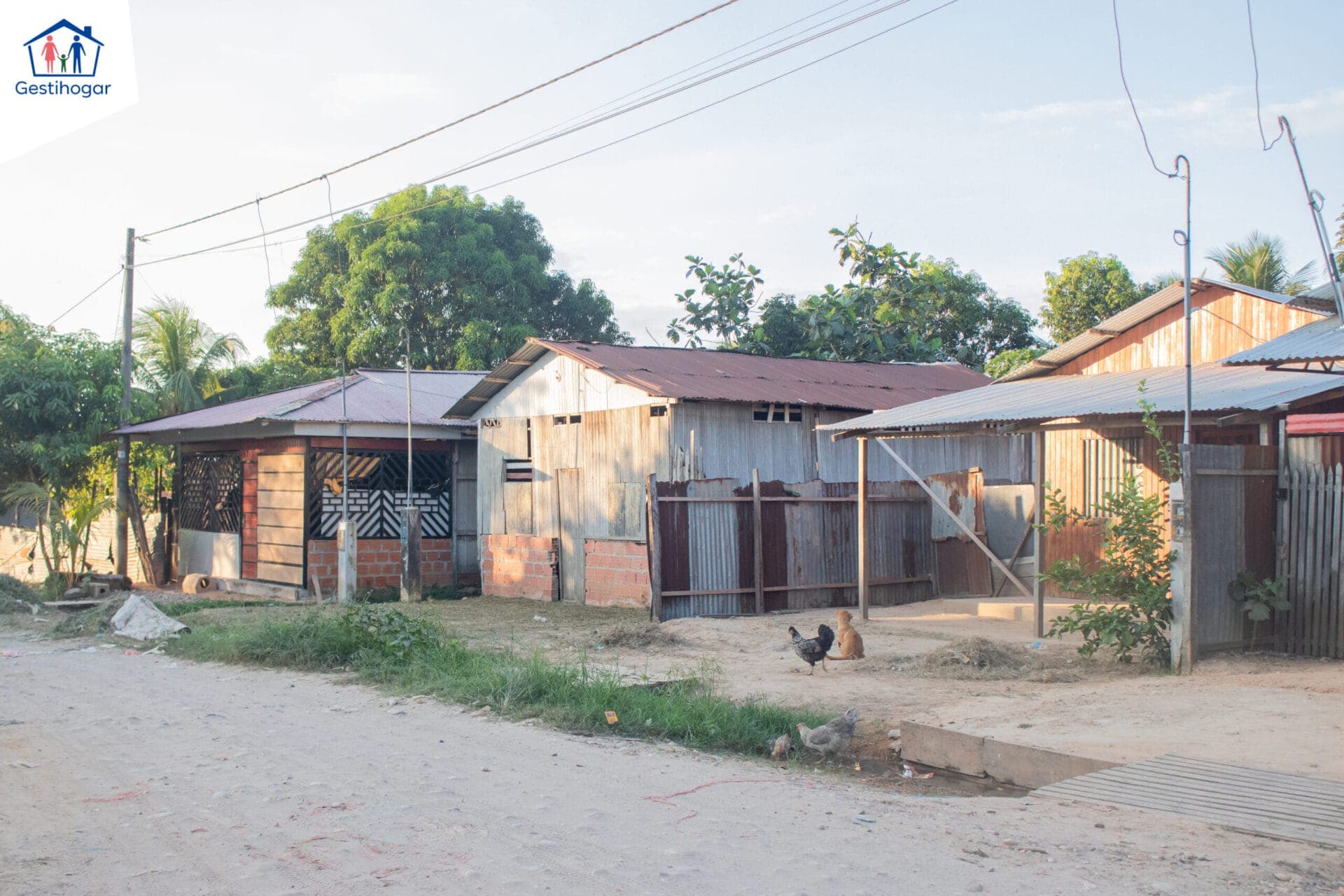 𝐑𝐄𝐌𝐀𝐓𝐎 𝐓𝐄𝐑𝐑𝐄𝐍𝐎 𝐂𝐄𝐑𝐂𝐀 𝐀𝐋 𝐌𝐄𝐑𝐂𝐀𝐃𝐎 𝐌𝐀𝐘𝐎𝐑𝐈𝐒𝐓𝐀 — foto 7