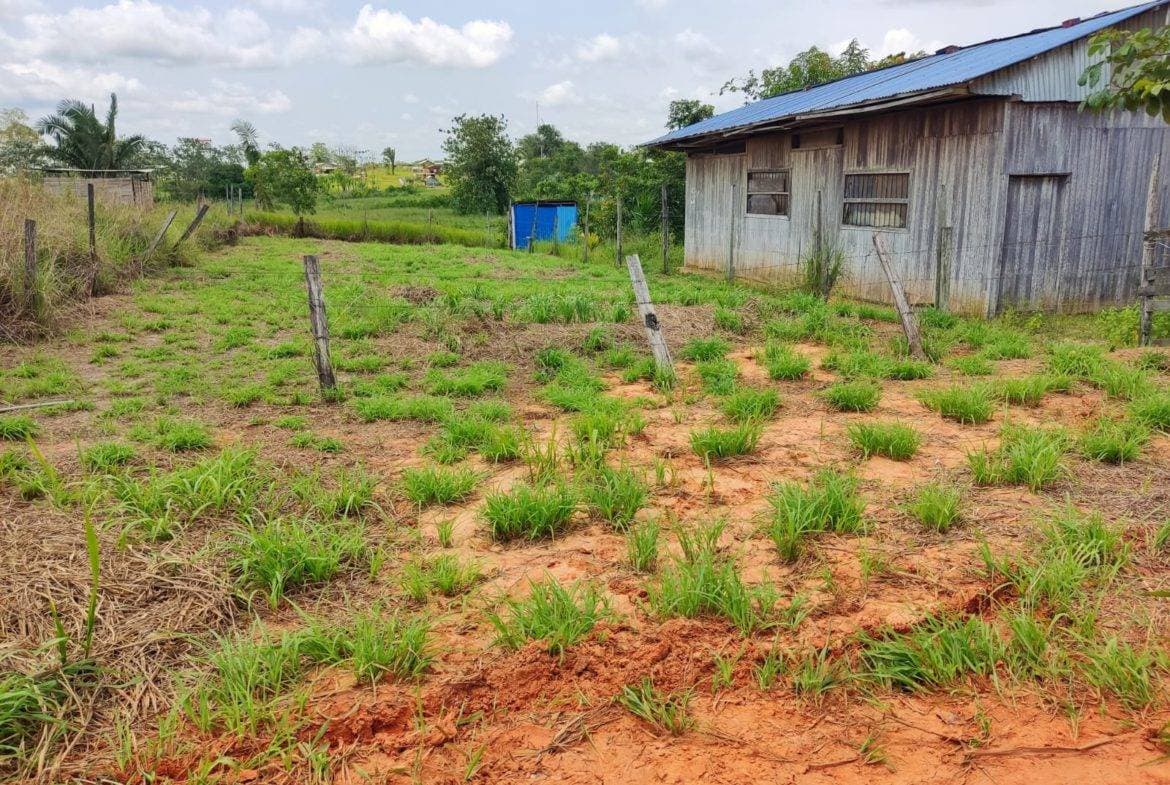 SE VENDE TERRENO BARATO EN PUCALLPA DE OCASIÓN — foto 4