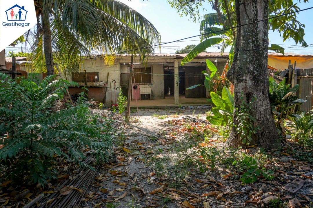 ¡𝐆𝐑𝐀𝐍 𝐎𝐏𝐎𝐑𝐓𝐔𝐍𝐈𝐃𝐀𝐃 𝐒𝐄 𝐕𝐄𝐍𝐃𝐄 𝐂𝐀𝐒𝐀 𝐃𝐄 𝟐𝟓𝟎 𝐌𝟐 – 𝐏𝐔𝐂𝐀𝐋𝐋𝐏𝐀 — foto 10