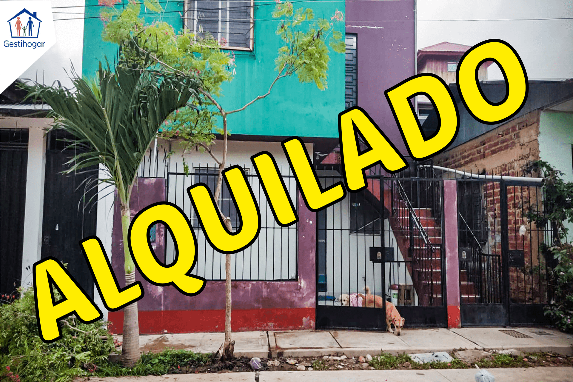 𝐀𝐋𝐐𝐔𝐈𝐋𝐎 𝐇𝐄𝐑𝐌𝐎𝐒𝐀 𝐂𝐀𝐒𝐀 𝐄𝐍 𝐏𝐔𝐂𝐀𝐋𝐋𝐏𝐀. 𝐂𝐄𝐑𝐂𝐀 𝐀 𝐒𝐎𝐂𝐎𝐏𝐔𝐑 𝐀𝐕 𝐂𝐄𝐍𝐓𝐄𝐍𝐀𝐑𝐈𝐎