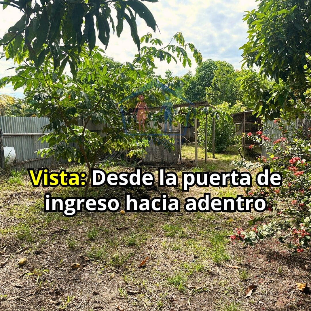 Terreno de 290 m2 en La Esperanza del Porvenir Km13 — foto 8