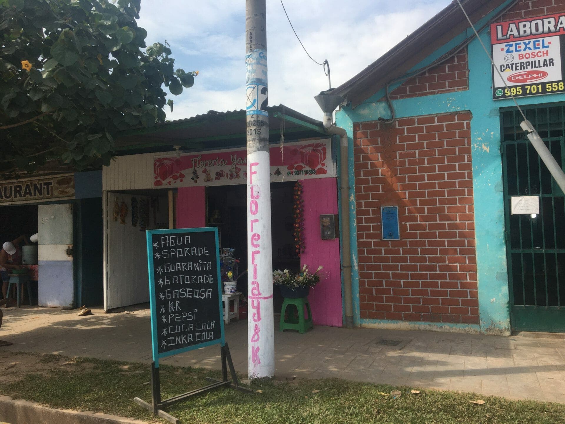 SE VENDE TERRENO EN PUCALLPA (300 M2) — foto 8