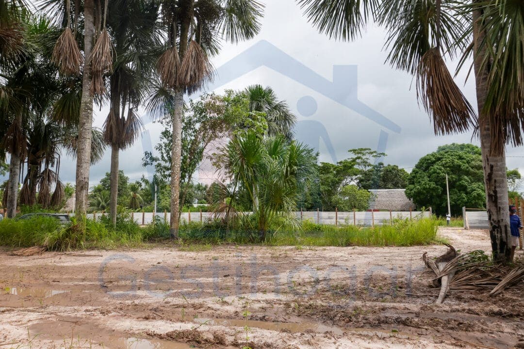 ¡𝐆𝐑𝐀𝐍 𝐎𝐏𝐎𝐑𝐓𝐔𝐍𝐈𝐃𝐀𝐃!!! 𝐓𝐄𝐑𝐑𝐄𝐍𝐎 𝐃𝐄 𝟐𝟔𝟓𝟎 𝐌𝟐 𝐂𝐎𝐍 𝐏𝐈𝐒𝐂𝐈𝐆𝐑𝐀𝐍𝐉𝐀, 𝐀 𝟑 𝐂𝐃𝐑𝐀. 𝐃𝐄 𝐋𝐀 𝐂.𝐅.𝐁. 𝐄𝐍 𝐕𝐄𝐍𝐓𝐀 – 𝐏𝐔𝐂𝐀𝐋𝐋𝐏𝐀 — foto 6