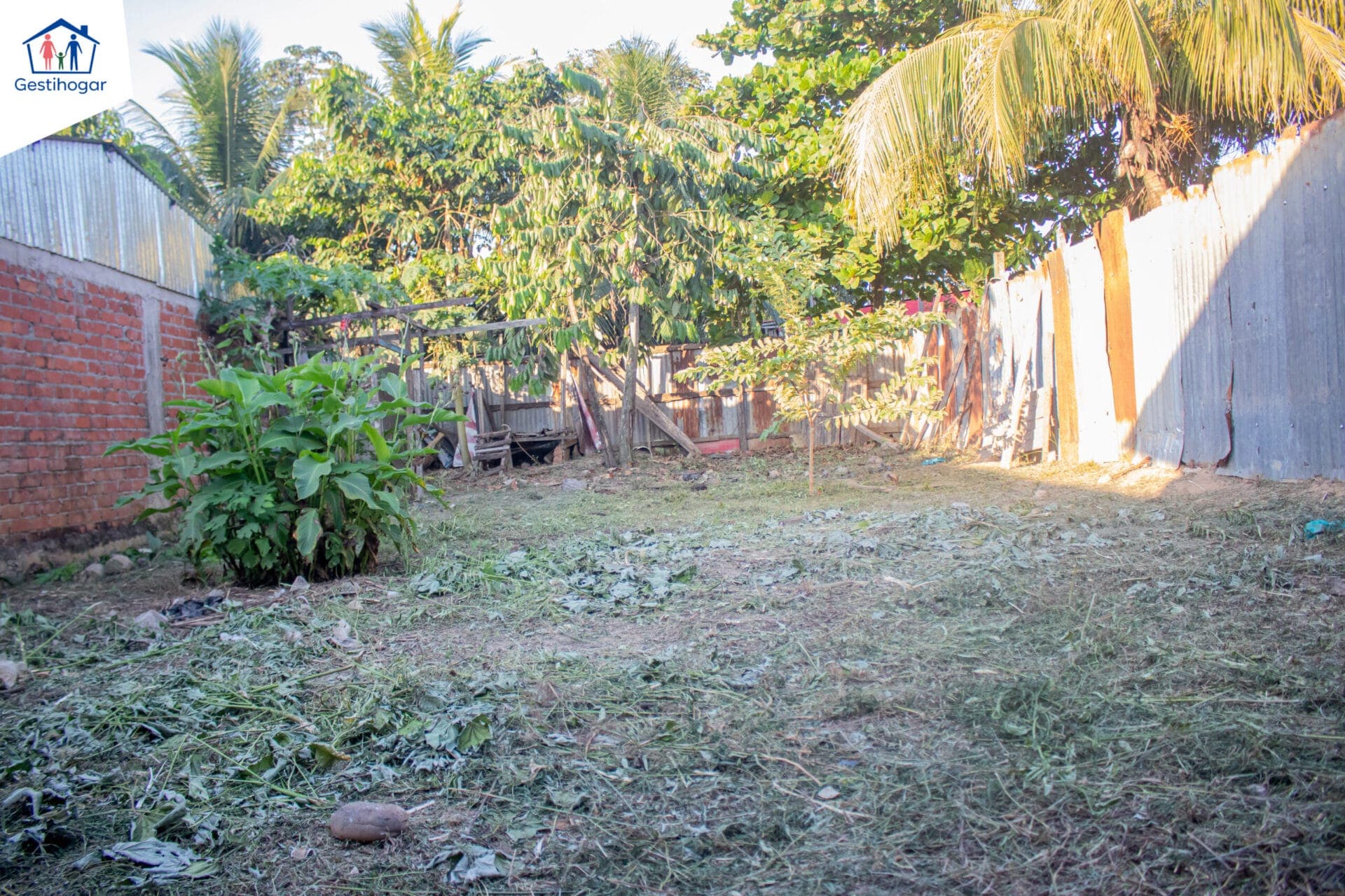 𝐑𝐄𝐌𝐀𝐓𝐎 𝐓𝐄𝐑𝐑𝐄𝐍𝐎 𝐂𝐄𝐑𝐂𝐀 𝐀𝐋 𝐌𝐄𝐑𝐂𝐀𝐃𝐎 𝐌𝐀𝐘𝐎𝐑𝐈𝐒𝐓𝐀 — foto 5