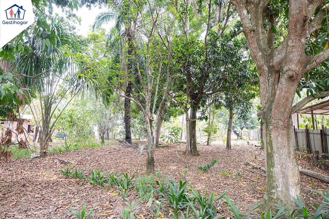 𝐒𝐄 𝐕𝐄𝐍𝐃𝐄 𝐓𝐄𝐑𝐑𝐄𝐍𝐎 𝐃𝐄 𝟏𝟎𝟎𝟎𝐌𝟐, 𝐈𝐃𝐄𝐀𝐋 𝐏𝐀𝐑𝐀 𝐕𝐈𝐕𝐈𝐄𝐍𝐃𝐀 𝐎 𝐀𝐋𝐌𝐀𝐂𝐄𝐍 — foto 5